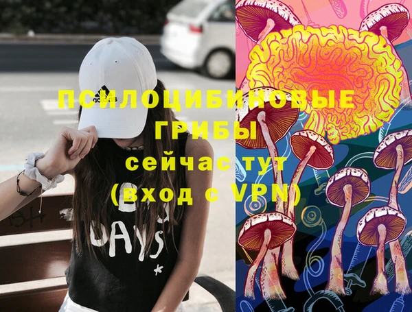 эйфоретик Алексин