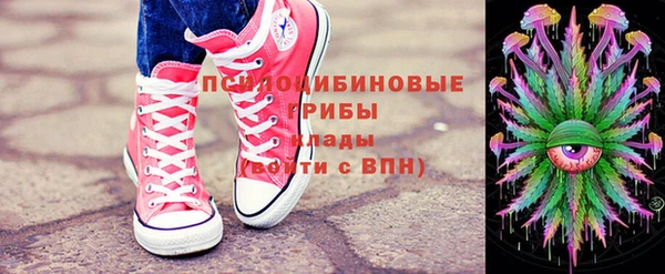 ешки Абаза