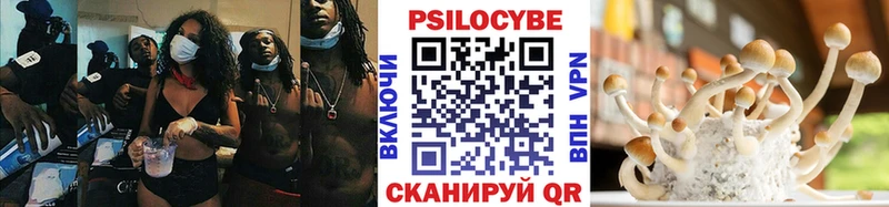 Псилоцибиновые грибы Psilocybe  Архангельск 